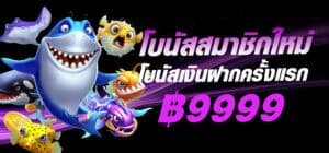 cupid790-banner-hero
