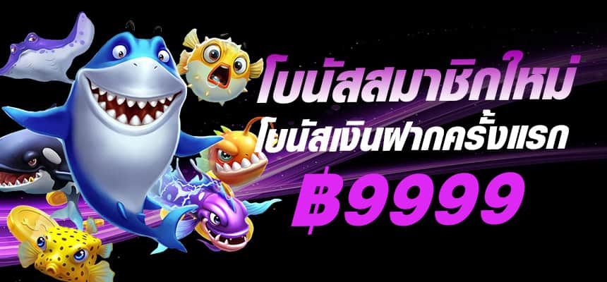 cupid790-banner-hero
